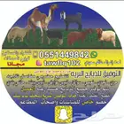 ذبايح حريه ثلاجه فاخره لباب بيتك وسواكني