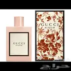 عطر قوتشي بلوم الأصلي