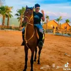 مدرب خيول وركوب