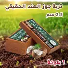 كوكوبيت cocopeat للزراعة