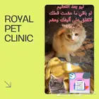 عياده القطط البيطريه
