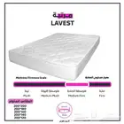 مرتبة لافيست