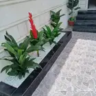 تنسيق حدائق