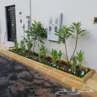 تنسيق حدائق الثيل الطبيعي الاشجار الطبيعي شبكات ري