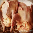 زغاليل للبيع