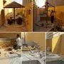 شلالات ونوافير الشرقية