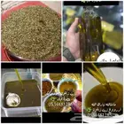 زيت زيتون سوري بكر عصرة اولى عالبارد