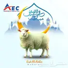 خصم 50  علي جميع الدورات