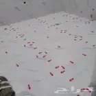 مبلط بلاط سلمي