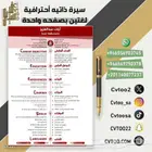 تبحث عن تصاميم سيرة ذاتية