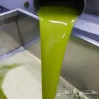 زيت زيتون فلسطيني بكر