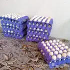 بيض