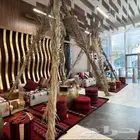 قهوجين وصبابين رجال ونساء كنب وكراسي طاولات زل العاب مضلات