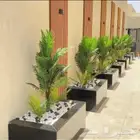تنسيق الحدائق