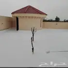 عازل اسطح