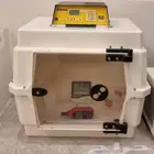 حضانة برنسيا