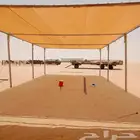 مضلات الإبل والغنم