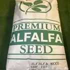 بذور برسيم امريكي كاف 101