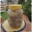 رظيفه.رضيفه.خلاصه.قشده