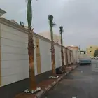 واشنطني زينه