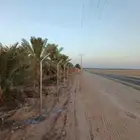 ابو غيثان لتوريد وتركيب الشبوك بجميع انواعها