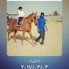 تعليم الفروسية