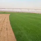تنسيق حدائق