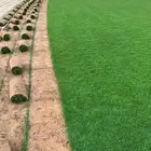 ثيل طبيعي سي 2000