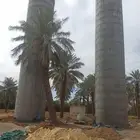 خزان دائريالرياض الخرج رقم الجوال