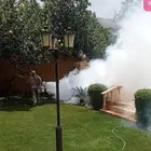 رش مبيدات ومكافحه الحشرات وسوسه النخيل