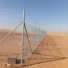 شبك مزرع ونخيل عربي واشنطن