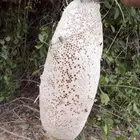 عسل حر طبيعي 100 من جبال الجنوب