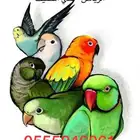 فندقة جميع الطيور والقطط - 120 تقييم