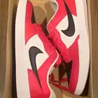 حذاء Nike SB Force الجديد كلي ا