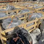 ماكينة مكائن جمس تاهو يوكن اكادية ترفيلس ماليبو سلفرادو