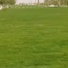 شركة تبحث عن مشاريع الاند سكيب وتركيب شبكة الري وعقود صيانه
