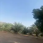 للبيع مزرعة قريبة من مسجد الميقات - المدينة