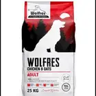 دراي فود اكل كلب طعام كلاب