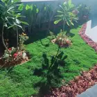تنسيق حدائق