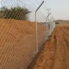 شبوك_مزارع_توريد_الشبوك