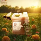 عسل سدر للبيع جودة عالية