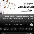 شيلة خطوة جنوبية جديده 2025 يامرحبا والف حيا شيلة خطوه