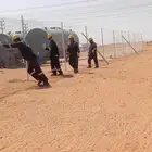 لتوريد وتركيب الشبوك. شبك مزارع شبك كسارات