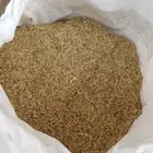 بذور رودس نظيفه