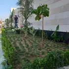 مؤسسة شوركلين