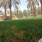 تنسيق وزراعة حدائق