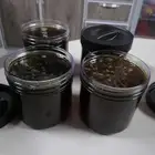 عسل جبال عوف