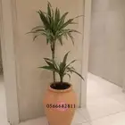 فخار زراعة واحواض بأنواعها للحدائق و الكافيهات