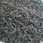 زبيب رزقي يمني للوز البلدي خولاني عسل سدر عصيمي ملكي