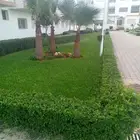 زراعة لاندسكيب وشبكات ري